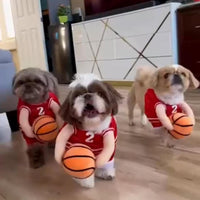 2025 New Dog Halloween Costumes, Dog Basketball Costume with Ball, Halloween Costumes with Basketball, Costume for Small Medium Large Dogs (1*RED, Small) - imagen 5