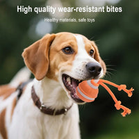 Interactive Rolling Ball Toy for Cats & Dogs —  Auto-Moving, USB Rechargeable, 3 Play Modes - imagen 3