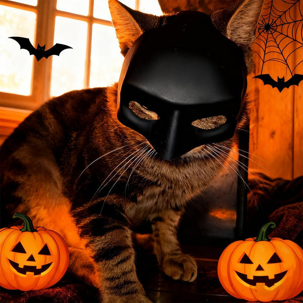 Cat Bat Mask, Funny Cat Helmet & Cat Hat Cosplay Costume, Adjustable Pet Mask for Halloween, Party, Photo Props, Lightweight Comfortable Cat Costume Accessories for Cats & Small Pets（Black