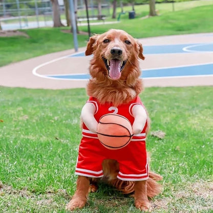 2025 New Dog Halloween Costumes, Dog Basketball Costume with Ball, Halloween Costumes with Basketball, Costume for Small Medium Large Dogs (1*Yellow, Small)